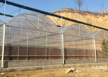Gutter Connected Greenhouse, Multi-span Greenhouse