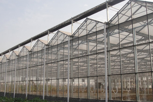 Greenhouse Fabrication Service